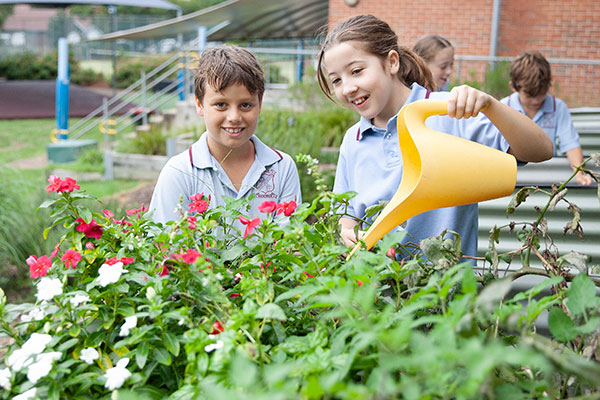 Our Lady of the Sacred Heart Randwick Gardening club